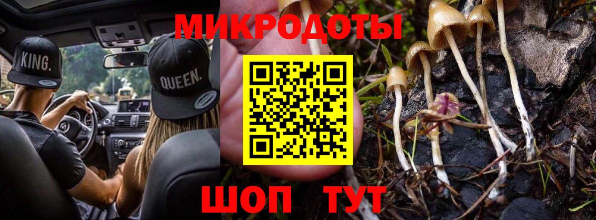 Псилоцибиновые грибы мухоморы Нижний Новгород