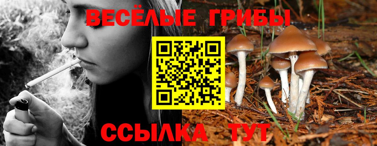 Нижний Новгород  Псилоцибиновые грибы MAGIC MUSHROOMS  Вход с VPN 