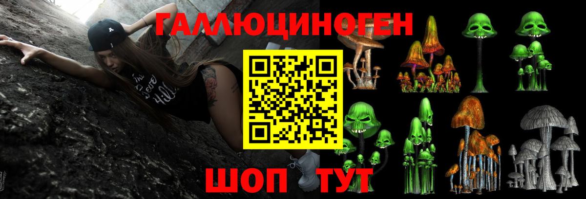 Псилоцибиновые грибы Magic Shrooms  Нижний Новгород 